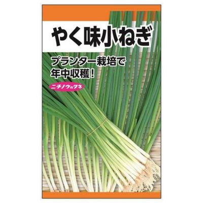 ネギ大事典: ネギ/ニラ/ワケギ/アサツキ/リーキ/やぐら性ネギ類