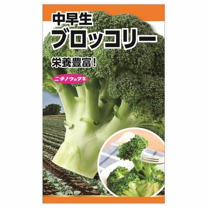 ブロッコリー ブロッコリー 中早生の販売 苗木部 By 花ひろば