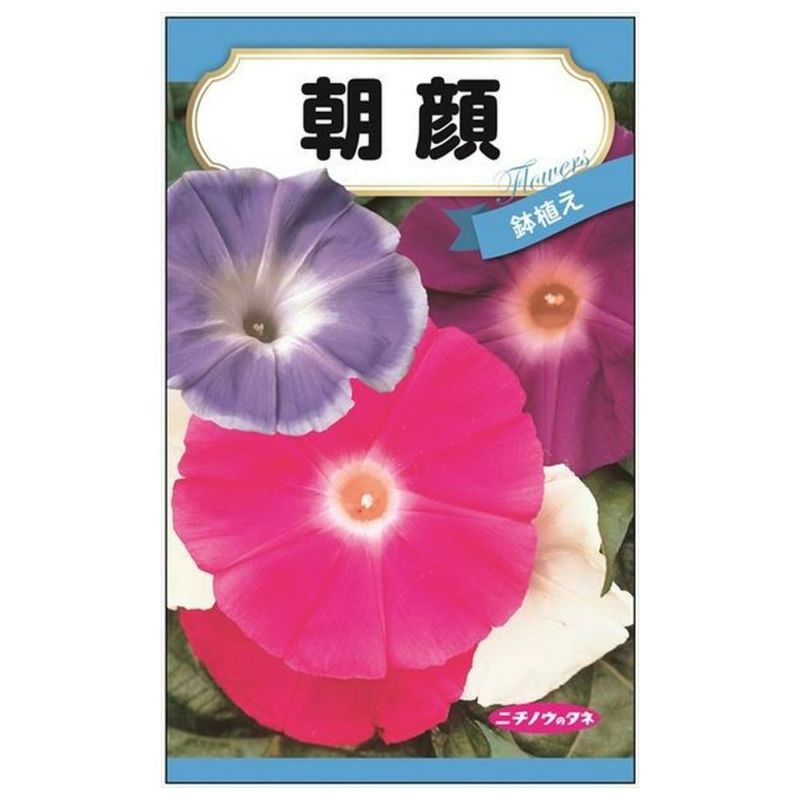 あさがお 000000085101-01-l.jpg?t=