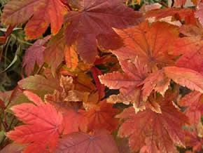 000000085692-06-l.jpg?t=