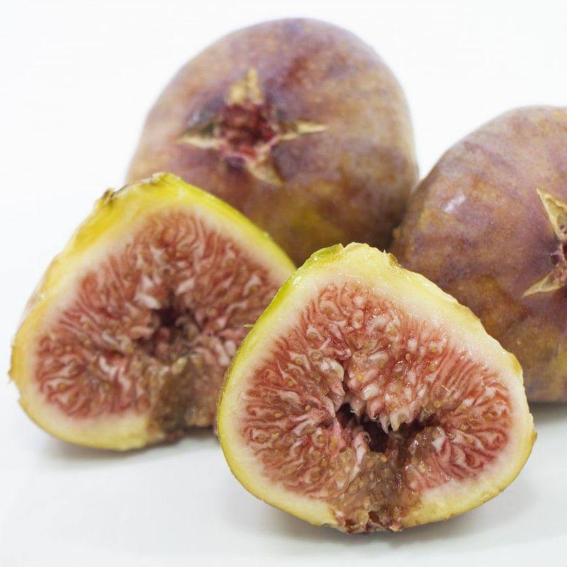 000000086217-02-l.jpg?t=