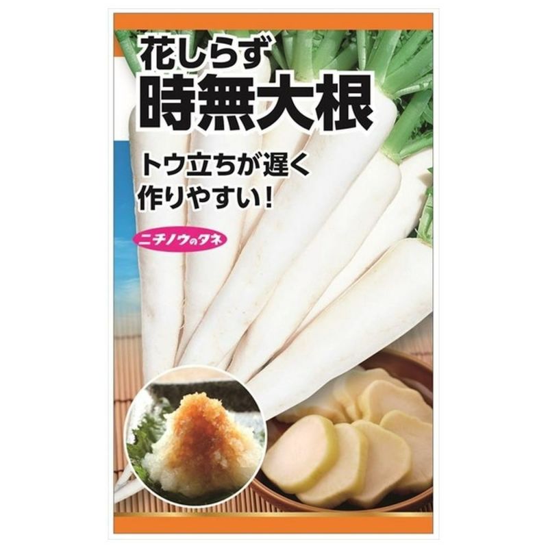 筋肉大根さま予約品 大根 時無大根(花しらず)の通販 苗木部 By 花ひろばオンライン