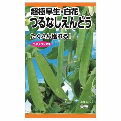 枝豆 【白毛えだまめ(早生)】 種・小袋 （20ｍｌ） 固定種 | 苗木部 本店 By 花ひろばオンライン