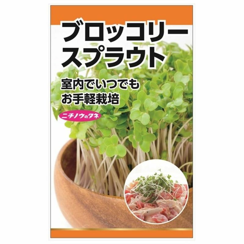 流行り 話題のブロッコリースプラウト 種 栽培 ブロッコリースプラウト栽培キット オンラインレッスン付き