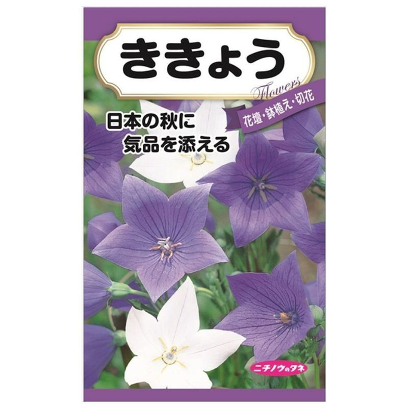 新品入荷 000000087406-01-l.jpg?t= ネイルパーツ