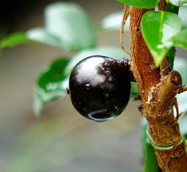 000000088192-02-l.jpg?t=  