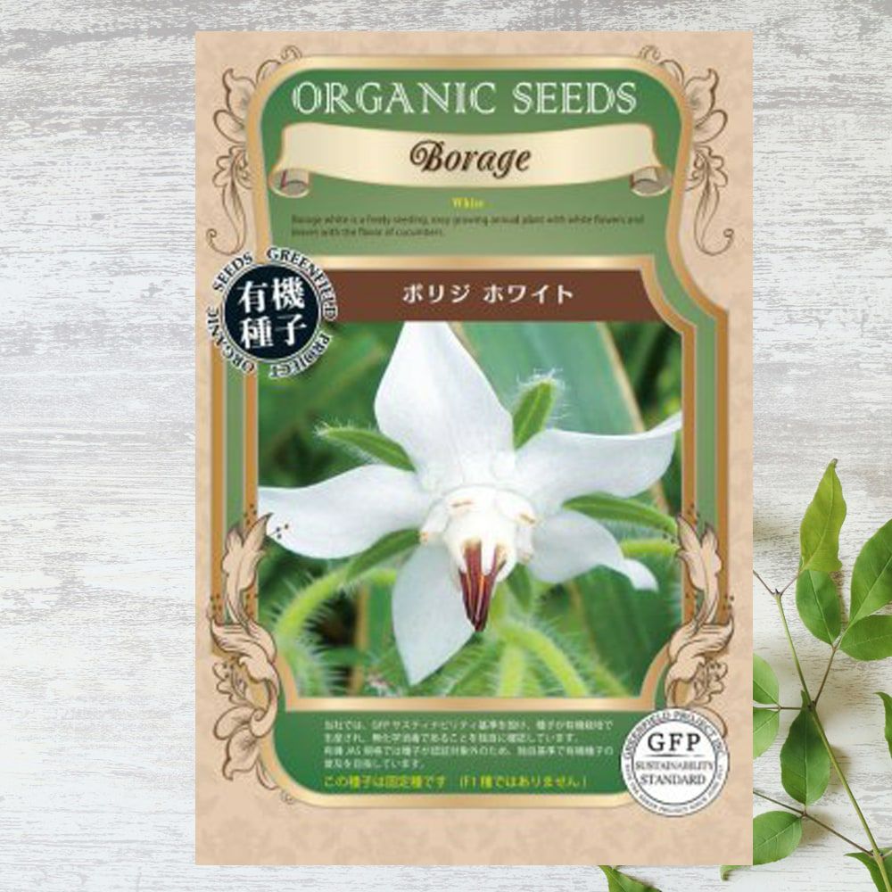 種 野菜 無科学農薬、無科学肥料、遺伝子組換えなしのタネ