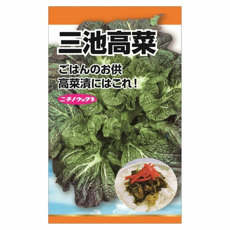 000000090402-01-l.jpg?t=