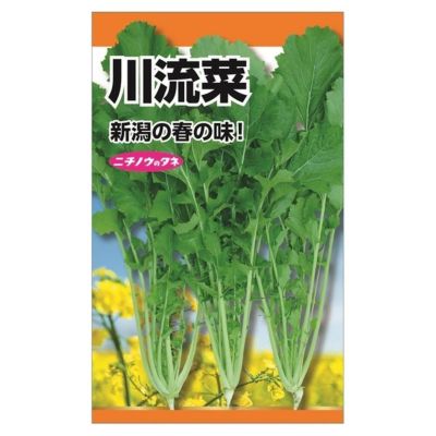 流菜ページ 𝐏→☆ (@0830_pika) / Posts / X