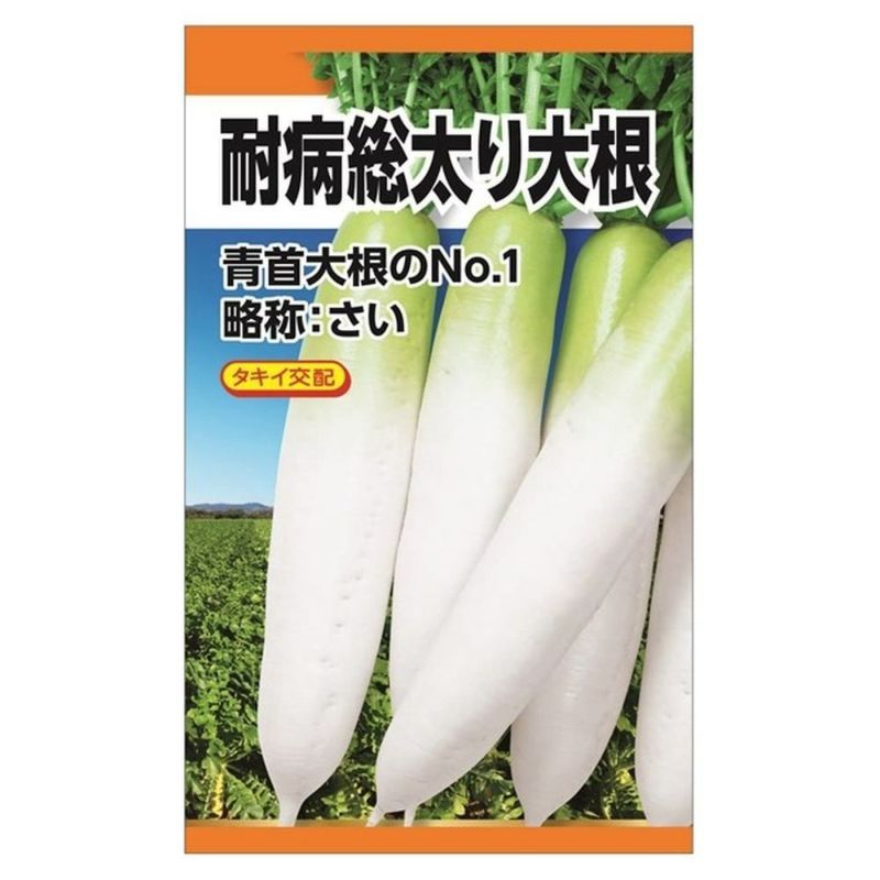 大根 【タキイ交配 耐病総太り大根】 種・小袋 （7ml） 苗木部 本店 By 花ひろばオンライン