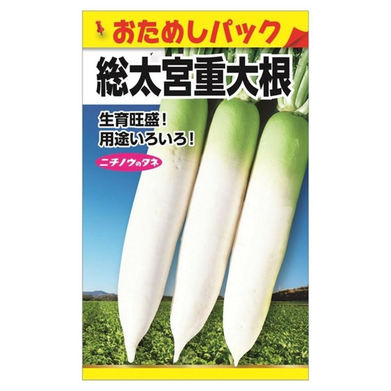 000000090669-01-l.jpg?t=