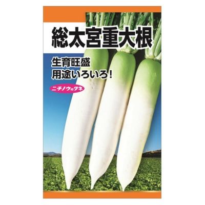 打木源助 大根の種 1L 1リットル 源助大根 打木源助大根の有機種子の販売｜グリーンマーケット