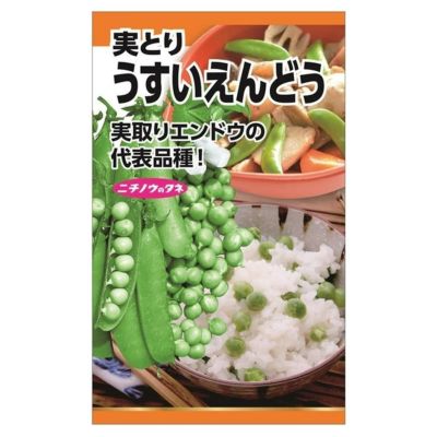 えんどう スナップえんどう(つるなし・白花)の通販 苗木部 By 花