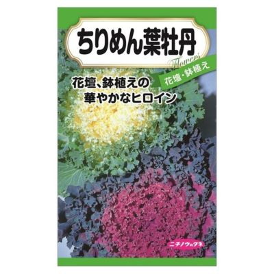 Amazon.co.jp: 07 姫牡丹 アリオカルプス 種子20粒 サボテン