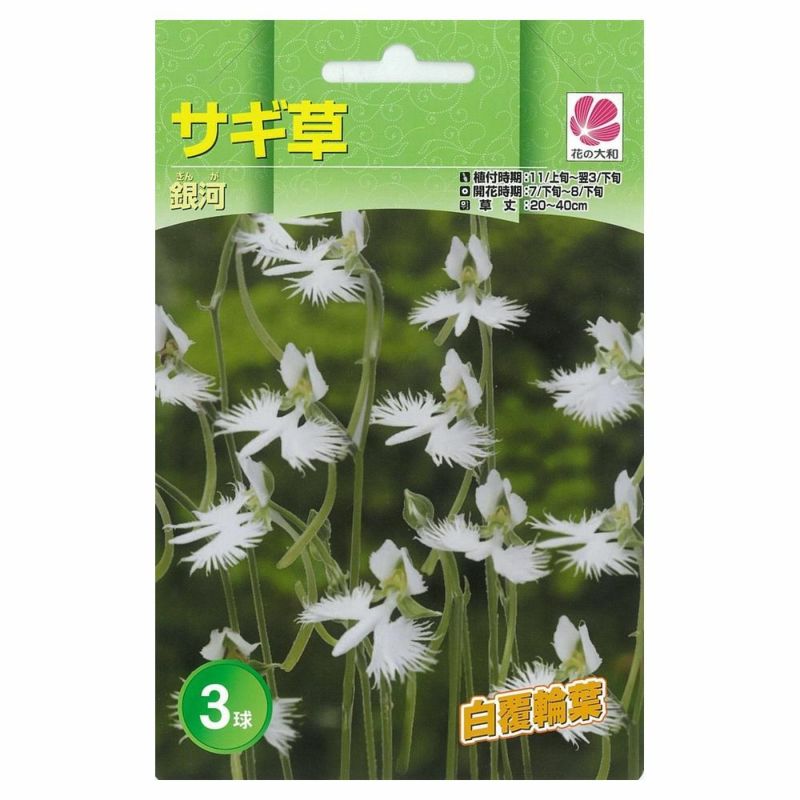 【現品限り一斉値下げ！】 000000091002-01-l.jpg?t= 花