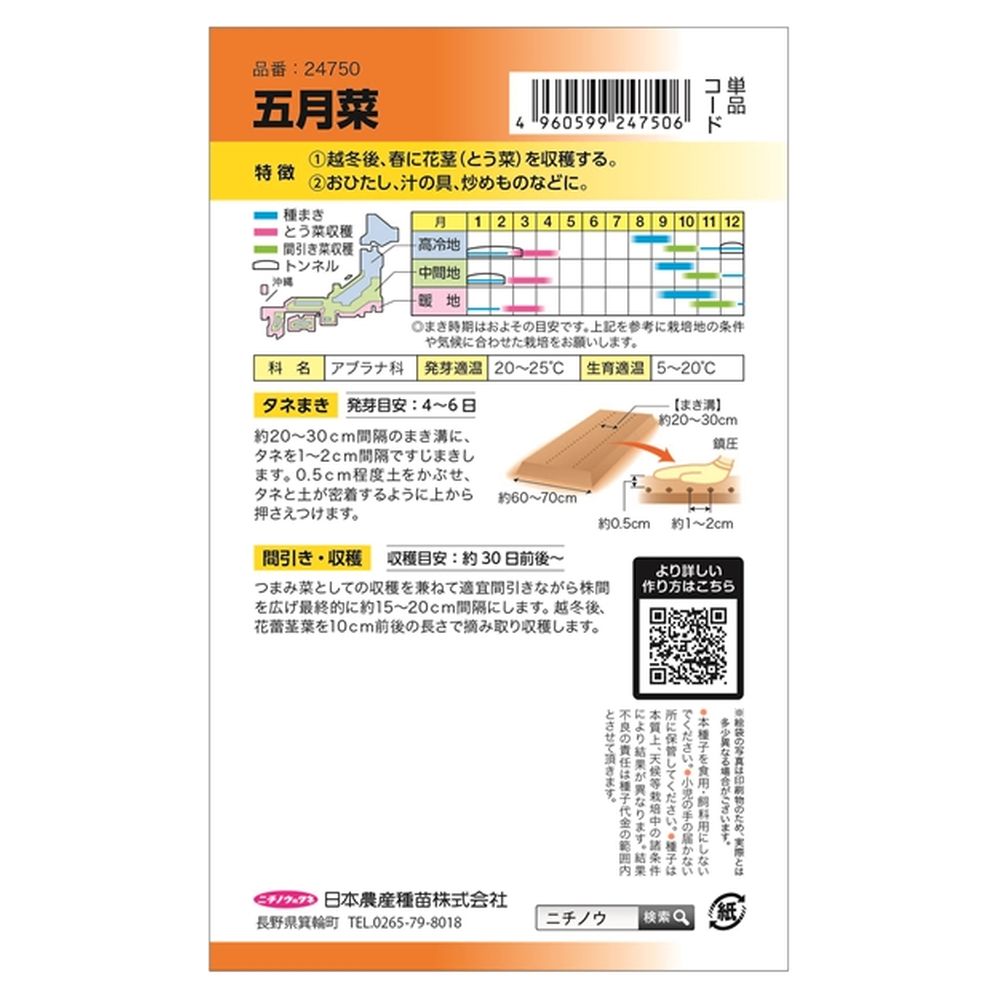 菜花出品 楽天市場】[ランキング入賞！] ＜冷凍＞ 11705 菜の花 IQF 500g 水研