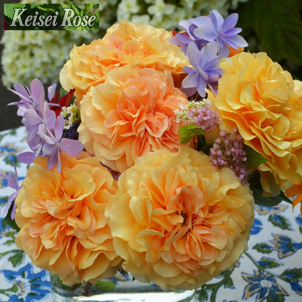 000000091469-03-l.jpg?t=