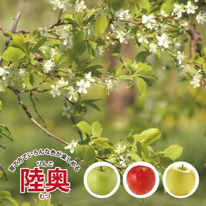 000000093862-01-l.jpg?t=