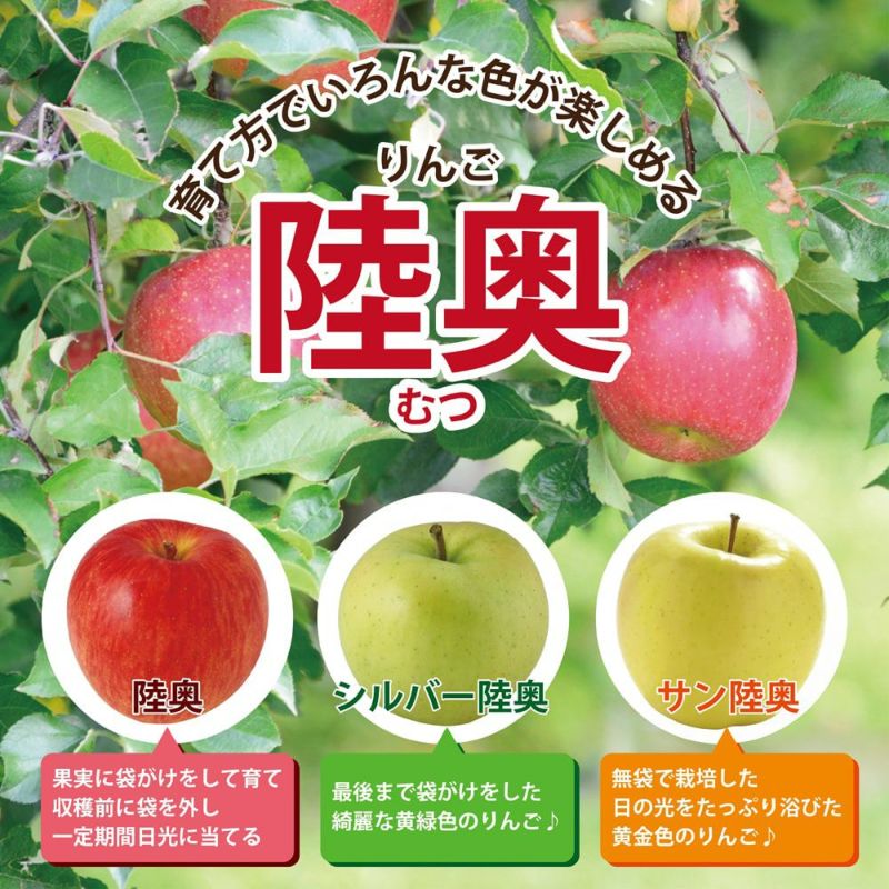リンゴ 陸奥の通販 苗木部 By 花ひろばオンライン