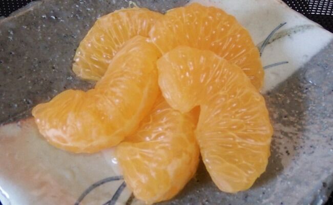 甘夏みかん 紅甘夏みかん 甘夏 木成り完熟農薬不使用箱重さ込み10k（457） 楽天市場】木成り 完熟 甘夏 みかん 2-3L (約10kg) 三重県産 甘