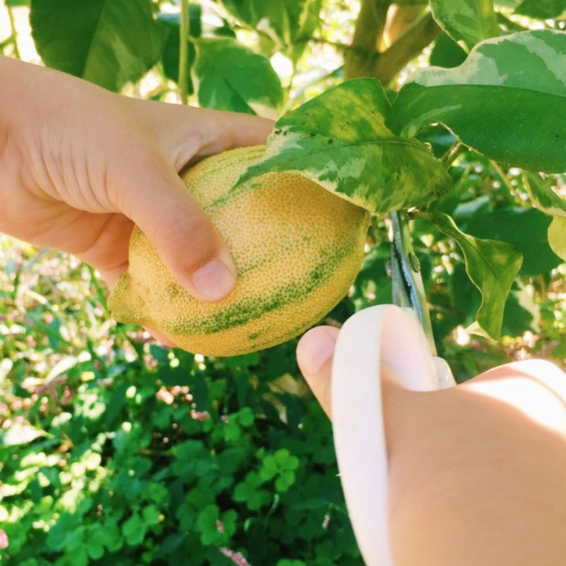 000000095231-03-l.jpg?t=