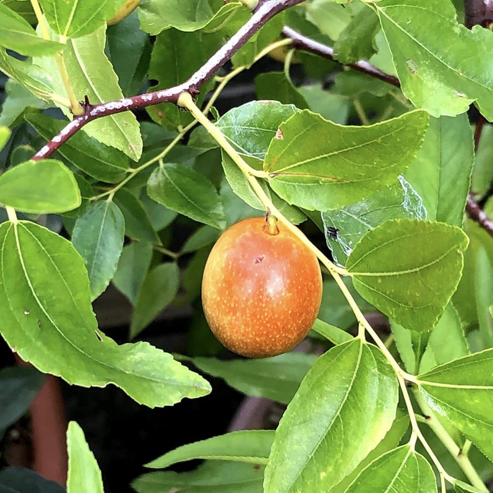 000000095567-02-l.jpg?t=