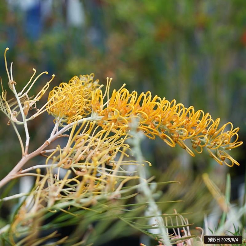 000000095638-06-l.jpg?t=