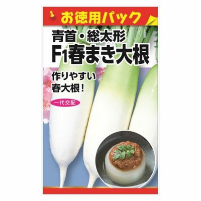 信州地大根の販売 苗木部 By 花ひろばオンライン